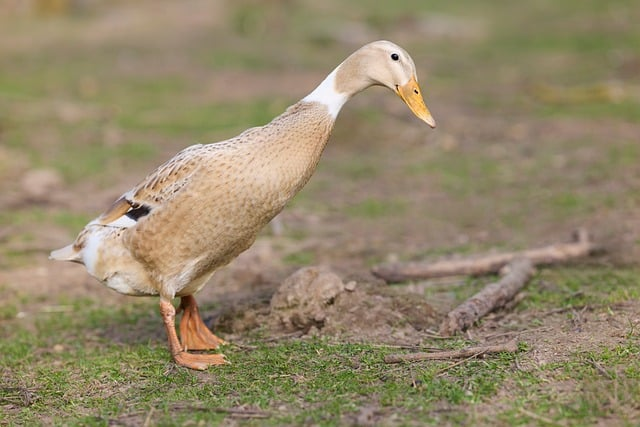 大尖山徒步路线攻略:山系向导带你走一条不走弯路的风景线 大尖山徒步路线攻略:山系向导带你走一条不走弯路的风景线