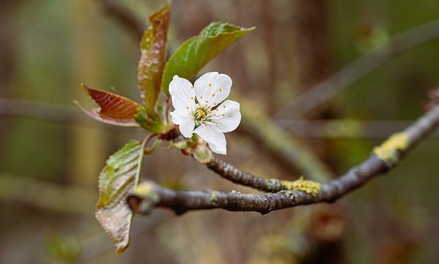 在本地人的步速里走一遍“两江四湖精华徒步路线”：避坑、省力又解压的完整指南