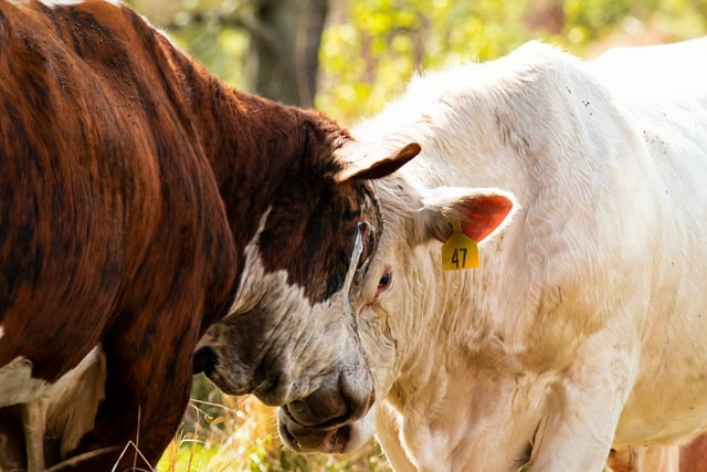 2025年8月西安旅游攻略：避坑、省钱、躲高温的“本地运营总监级”玩法