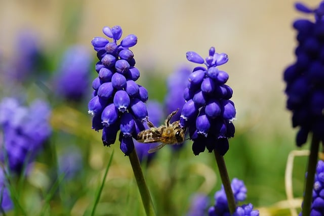 大南山徒步登山路线：新手也能拿下的「低翻车指南」，别被网红攻略坑了