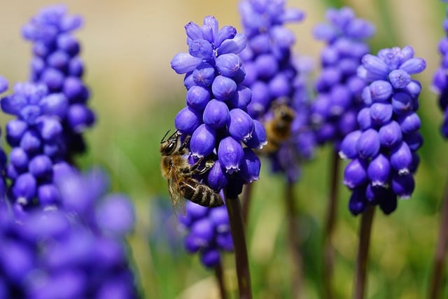 徒步线路 规划错一步，可能毁掉你整趟旅程亲测4条避坑思路分享