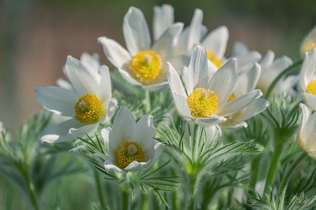 第一次去就容易踩坑这份重庆特种兵旅游攻略把时间、省钱和路线一次讲透